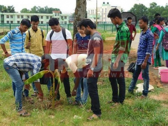 Tripura NSS held special campaigning at Central University Tripura NSS held special campaigning at Central University